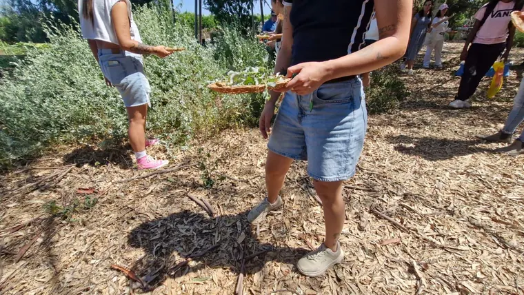 יער המאכל בעמק חפר