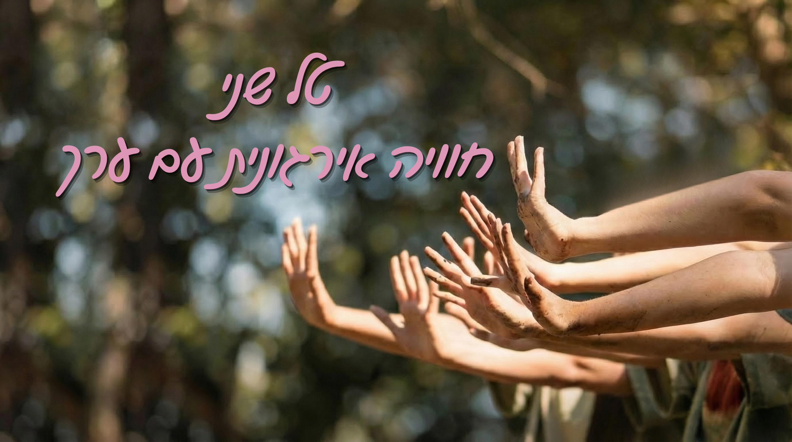 טל שני - חוויה ארגונית עם ערך