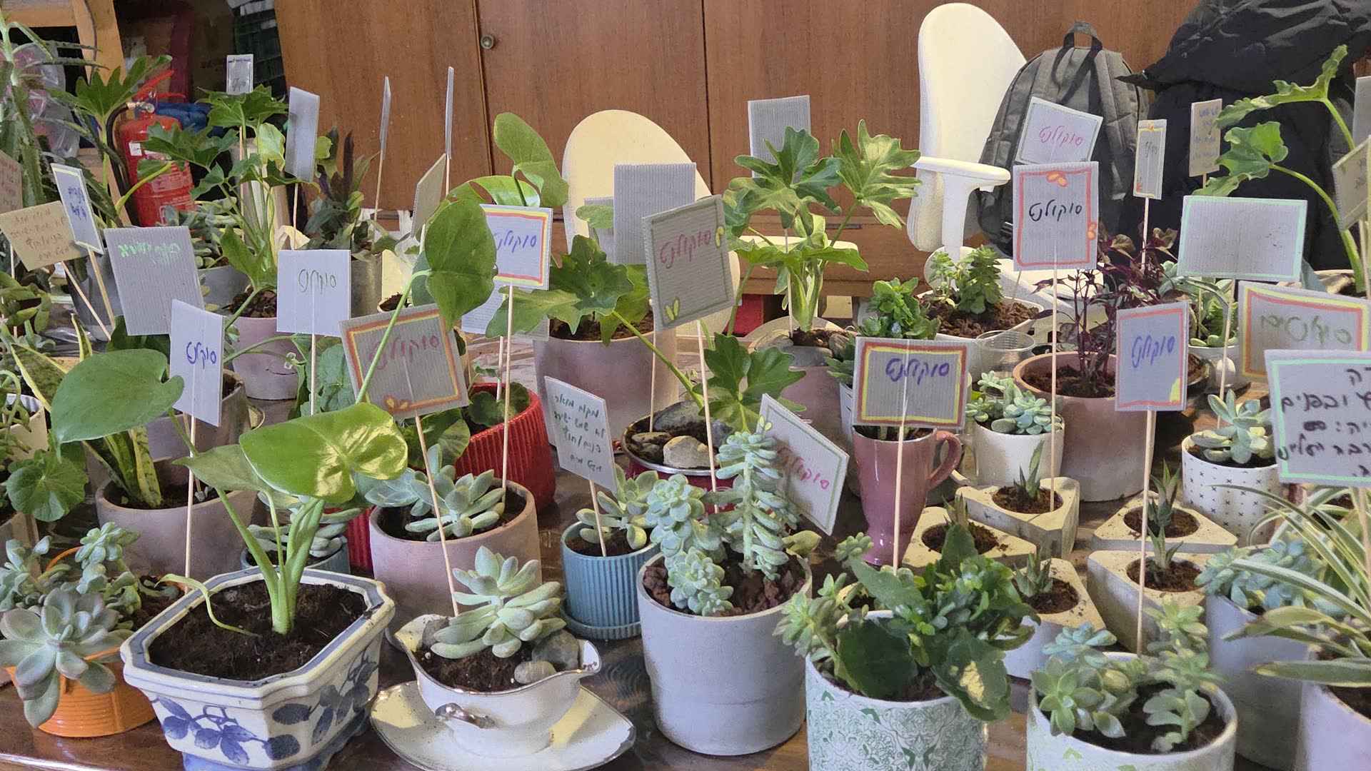 אירוע סוף שנה 2025