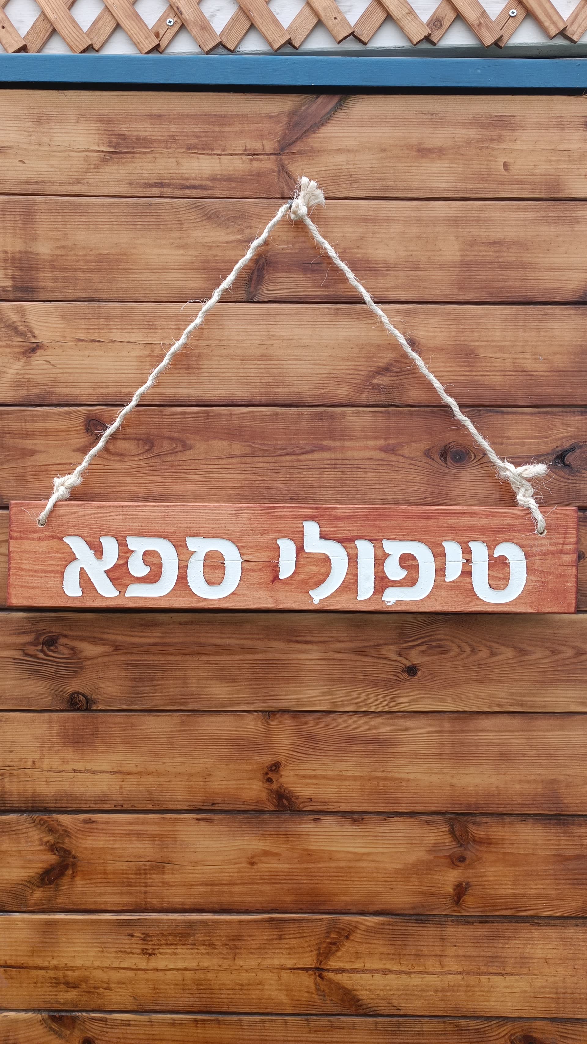 פעילות צוות 2023