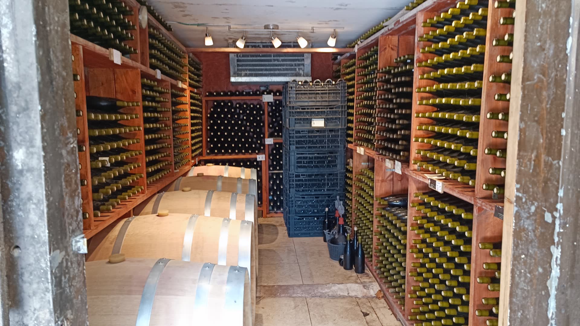 גיבוש צוות 2022