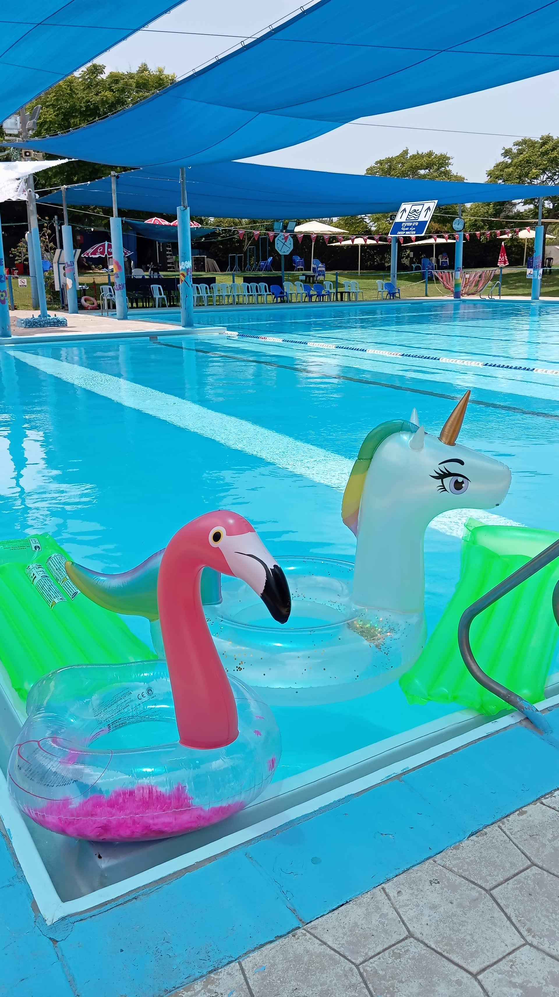 חוויה ארגונית